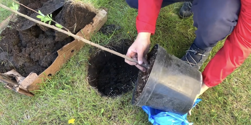 Подготовка шарафуги к посадке