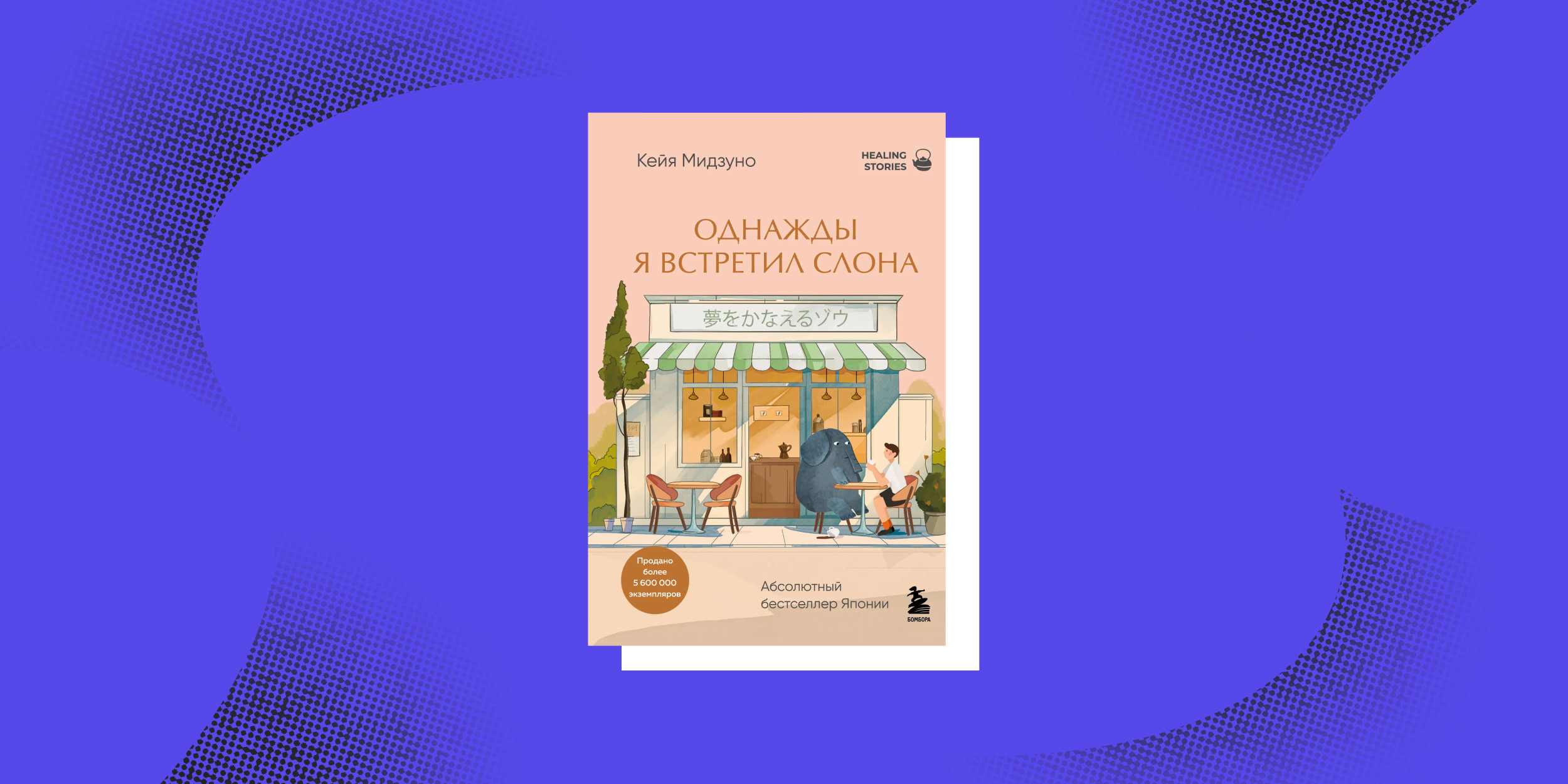 «Однажды я встретил слона», Кейя Мидзуно