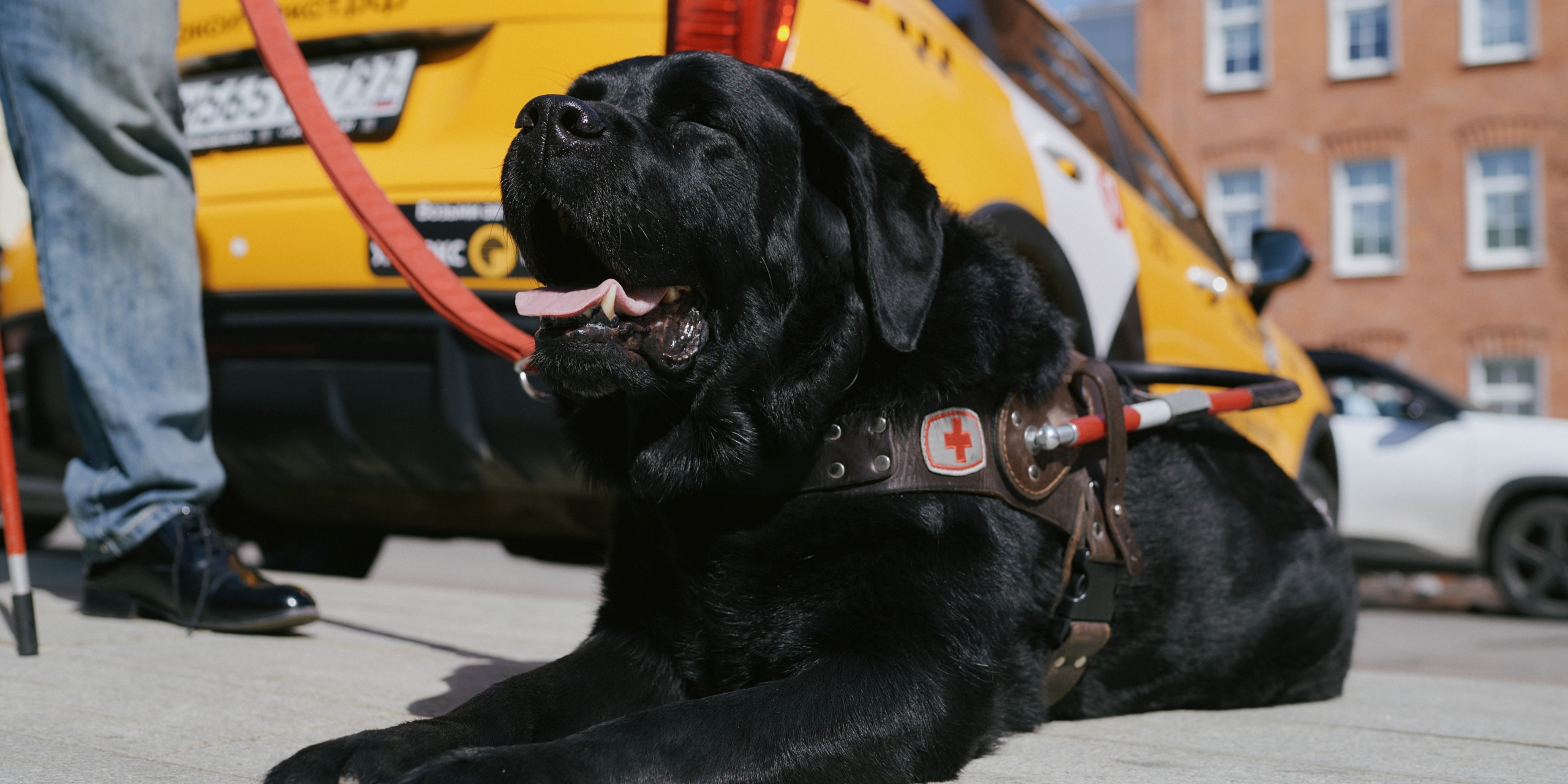 У них есть строгий рабочий этикет