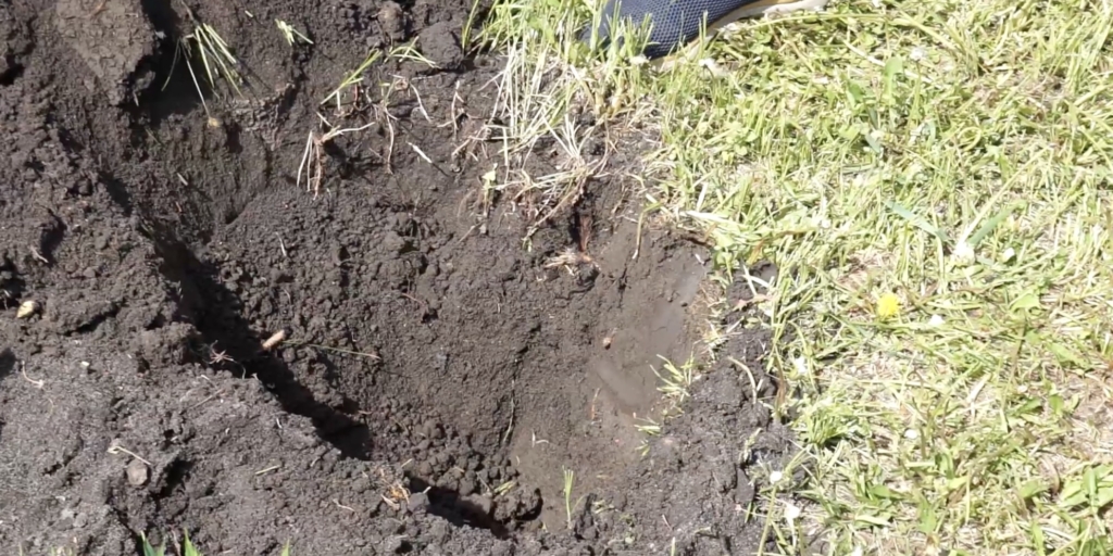 Посадочная яма для шарафуги