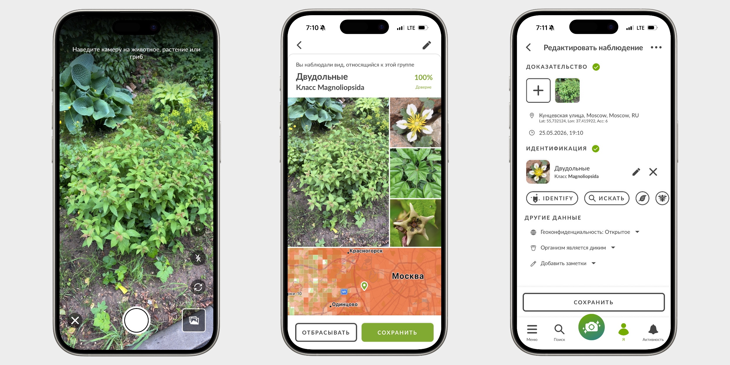 Как узнать название растения в iNaturalist