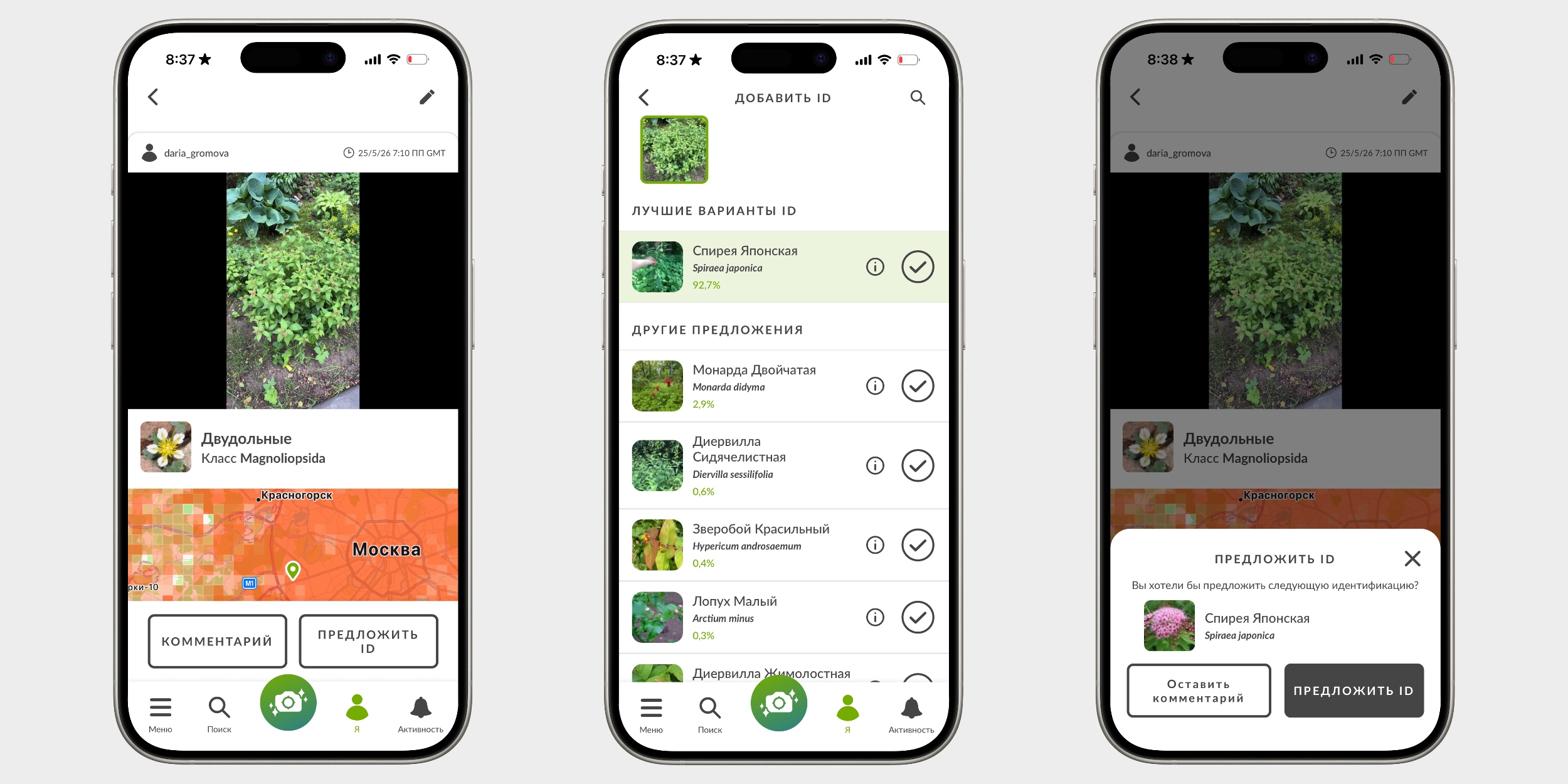 Как уточнить вид растения в iNaturalist 