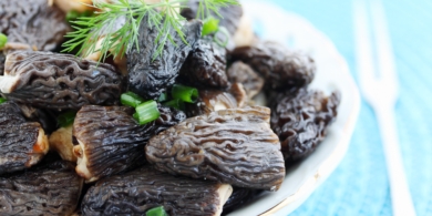 Маринованные сморчки на зиму