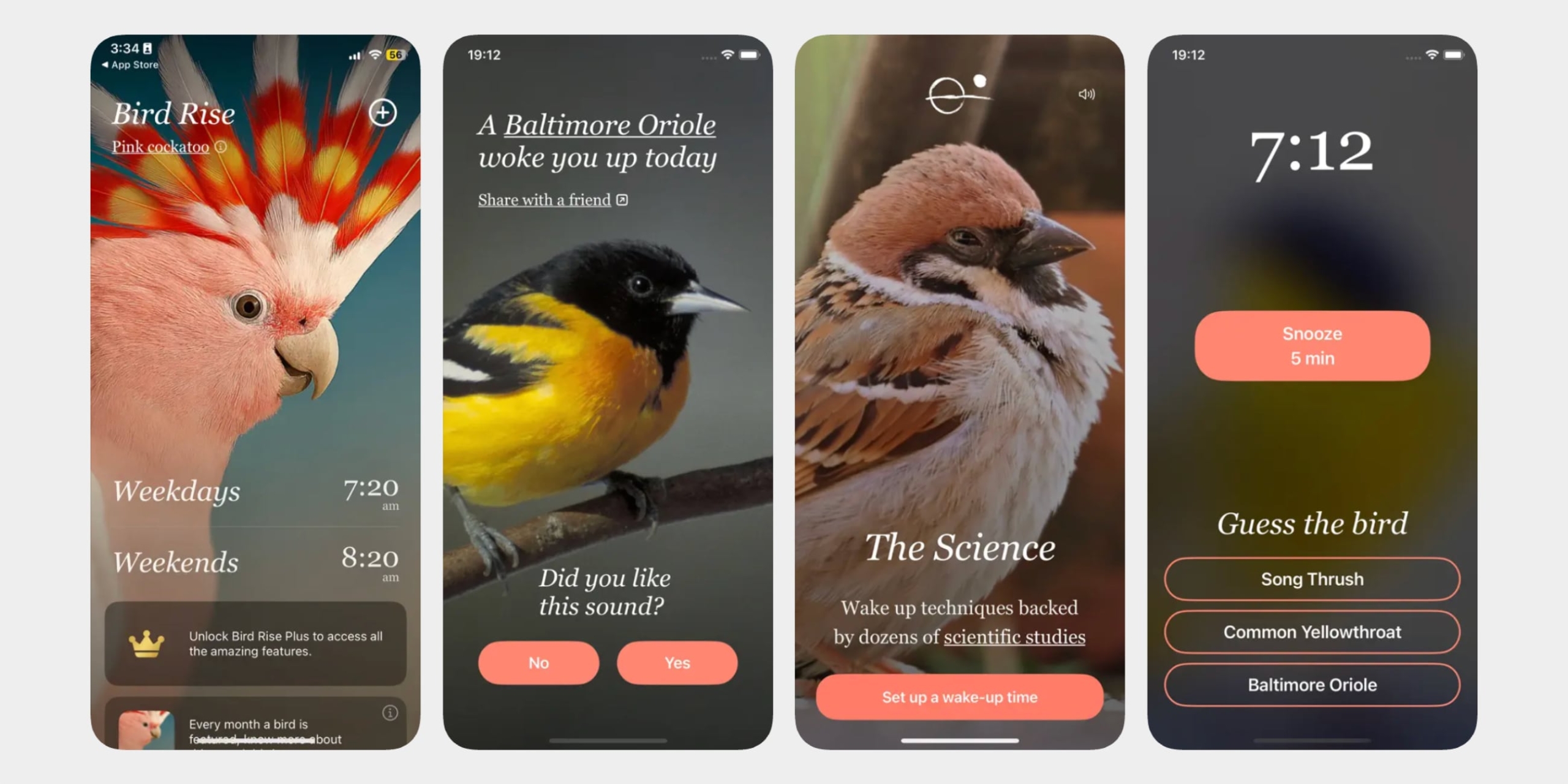 Приложение Bird Rise для iOS