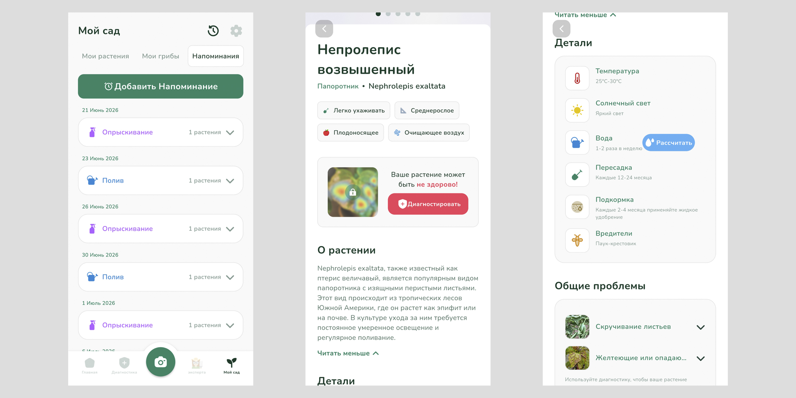 Plantify Приложения для ухода за растениями: Plantify