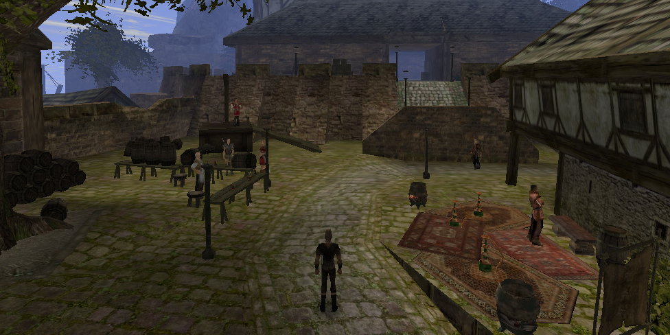 Кадр из Gothic 2