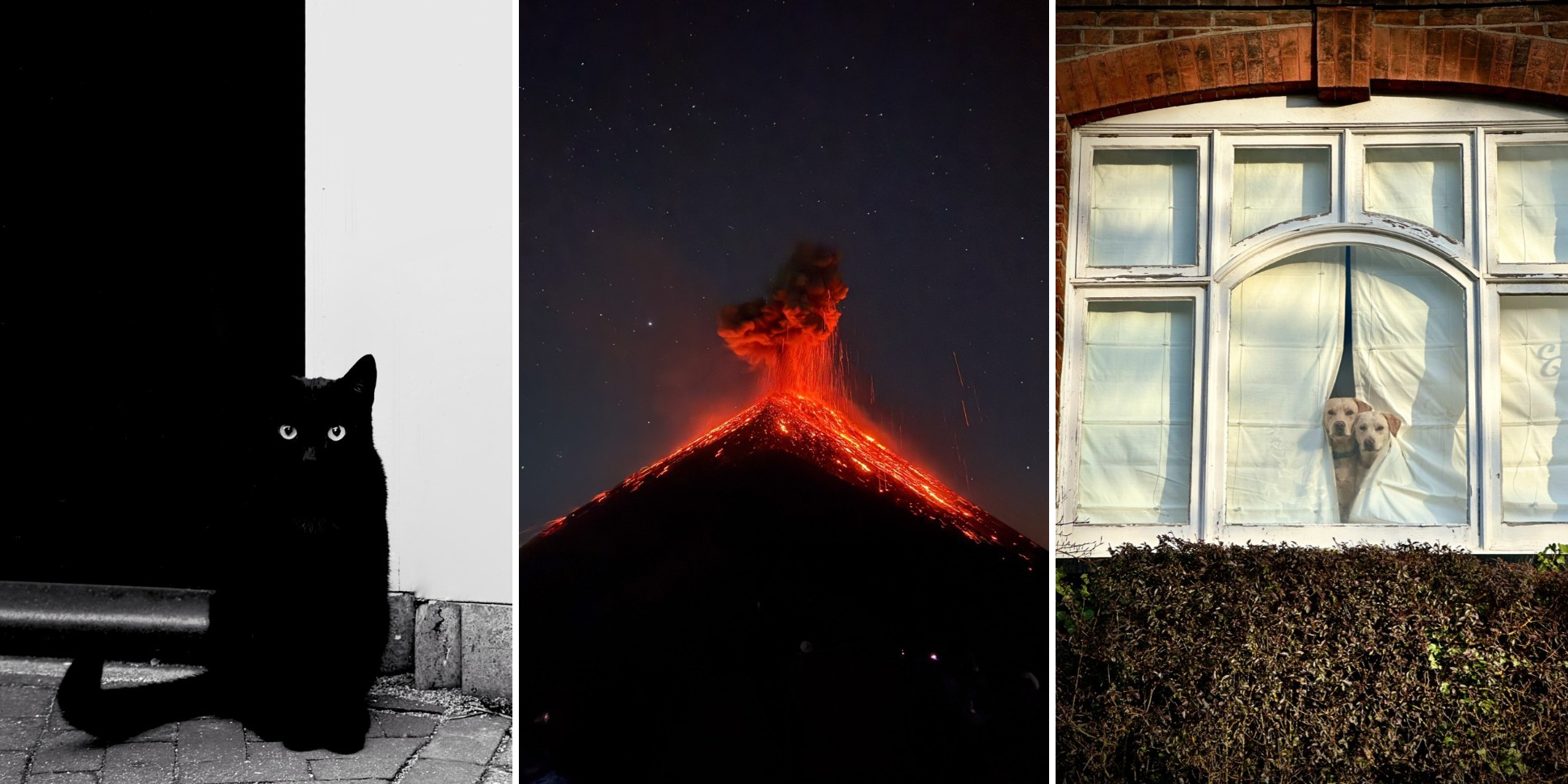 Ночной вулкан и попугай на арбузах: 13 победителей iPhone Photography Awards 2026
