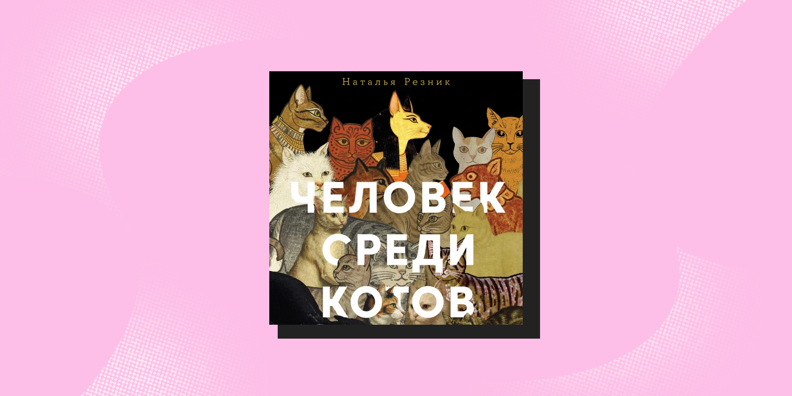 «Человек среди котов», Наталья Резник Книги про животных: «Человек среди котов», Наталья Резник