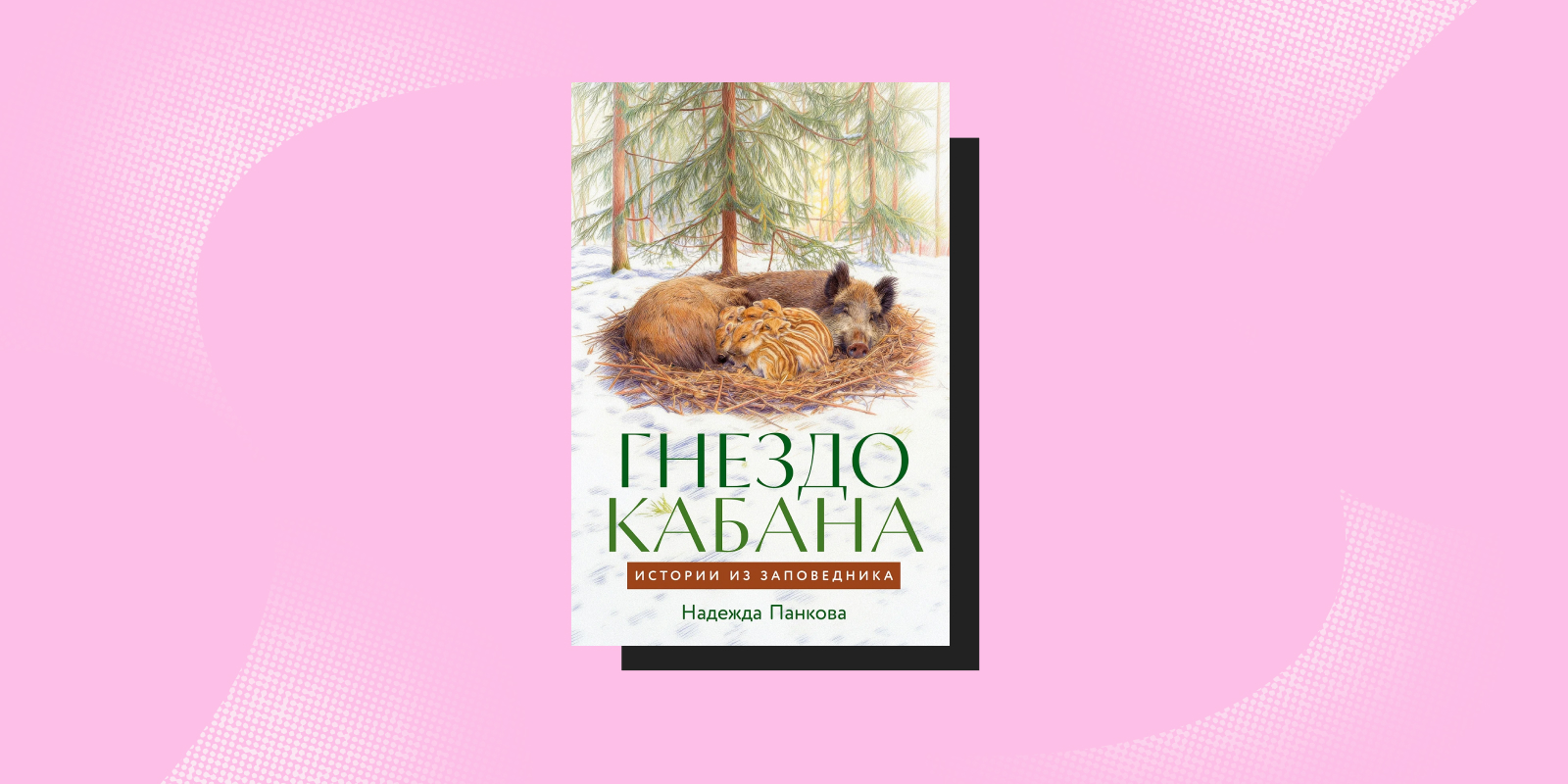 «Гнездо кабана», Надежда Панкова Книги про животных: «Гнездо кабана», Надежда Панкова