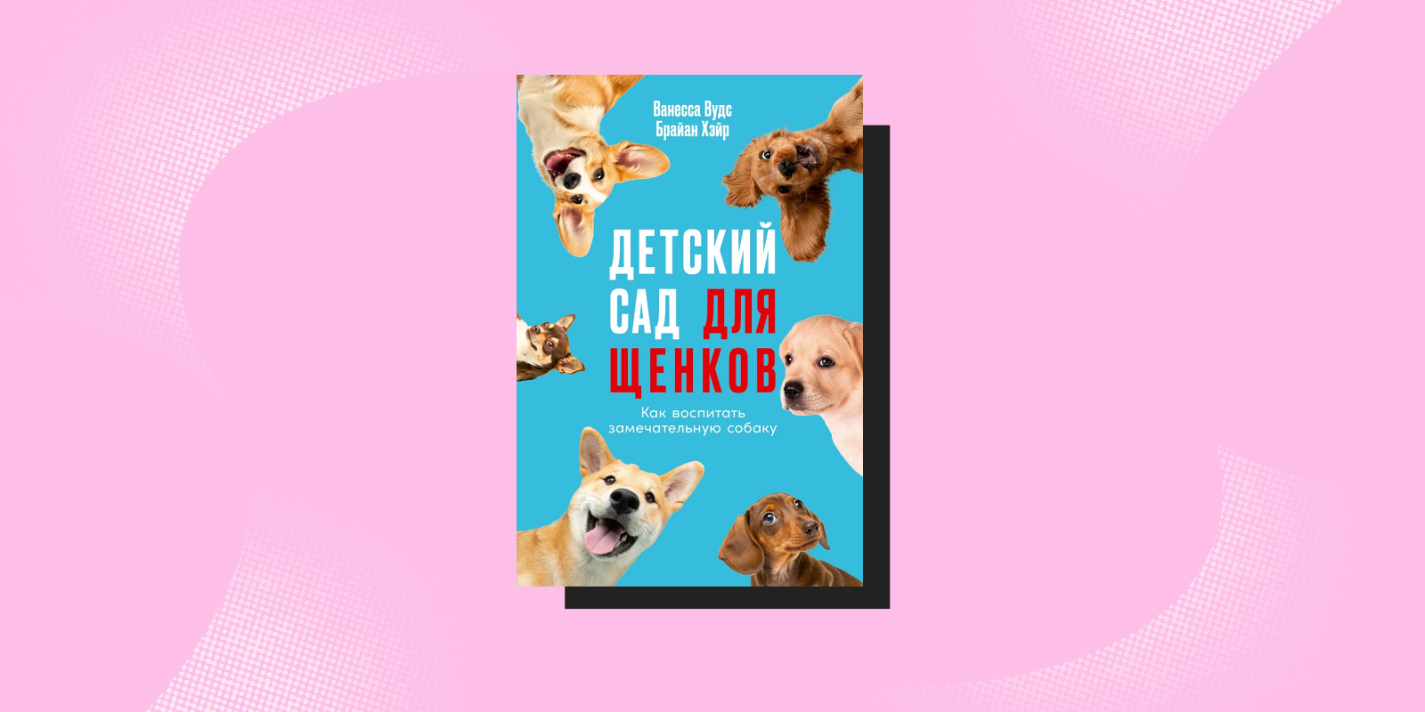 «Детский сад для щенков», Ванесса Вудс и Брайан Хэйр «Детский сад для щенков», Ванесса Вудс и Брайан Хэйр