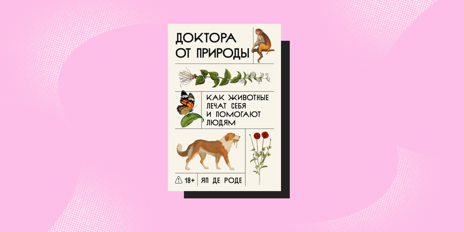 «Доктора от природы», Яп де Роде Книги про животных: «Доктора от природы», Яп де Роде