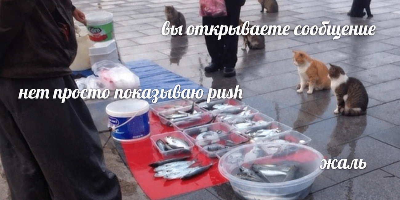 Мем с рыбами Мем с рыбами