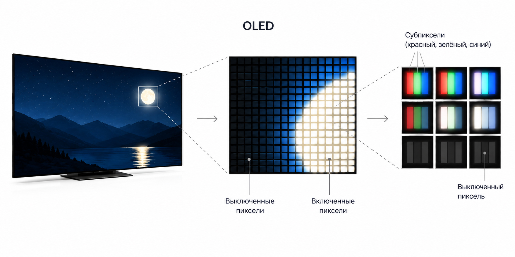 Что лучше OLED или mini-LED: принцип работы OLED