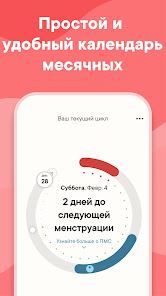 Менструальный цикл - продолжительность и фазы